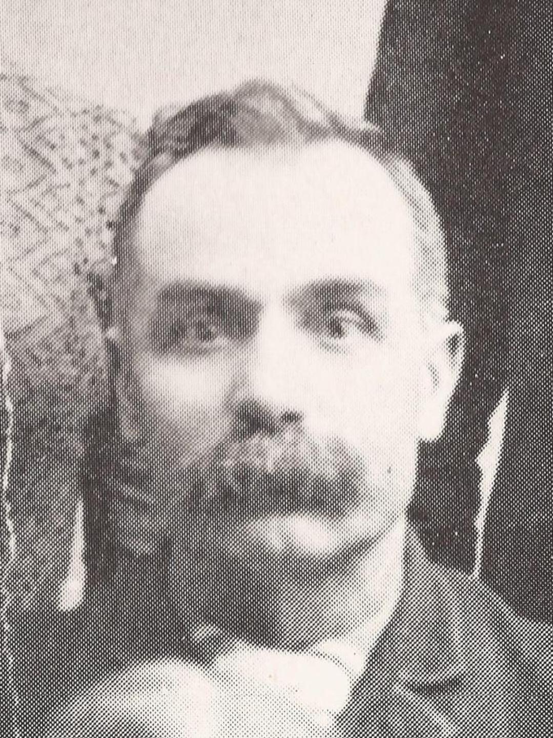 David Morgan Reese (1845 - 1940) Profile